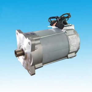 AC 3 phase motor 5kw for EV