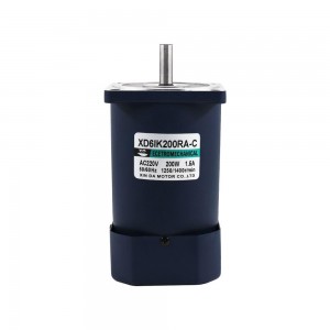 200W single-phase reverse speed micro motor