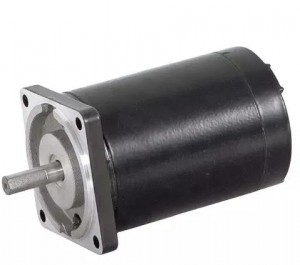 üç fazlı motor Karbon fırça DC motor 60 Volt elektrikli otomobil motoru için