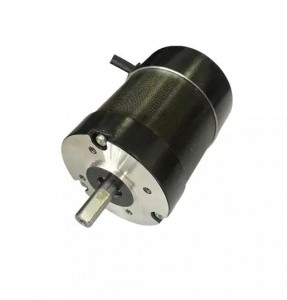 three phase motor Carbon brush DC motor 60 Volt para sa makina ng de-kuryenteng kotse