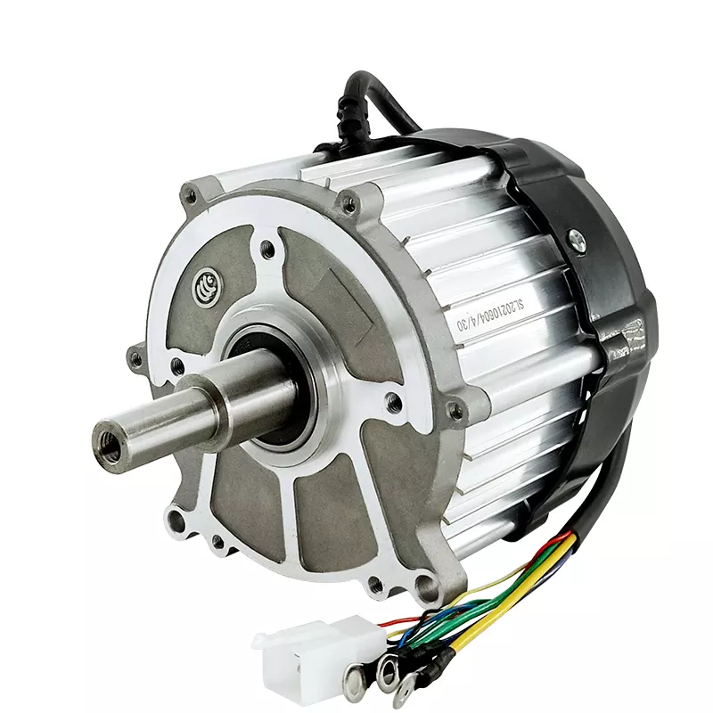 Electric tricycle motor 24V 48V 60V 550W 800W 1000W 1500W modified mechanical equipment BLDC motor