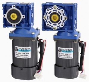 5IK120RGN-RV30RV40 Motor reducător cu angrenaj melcat 120W